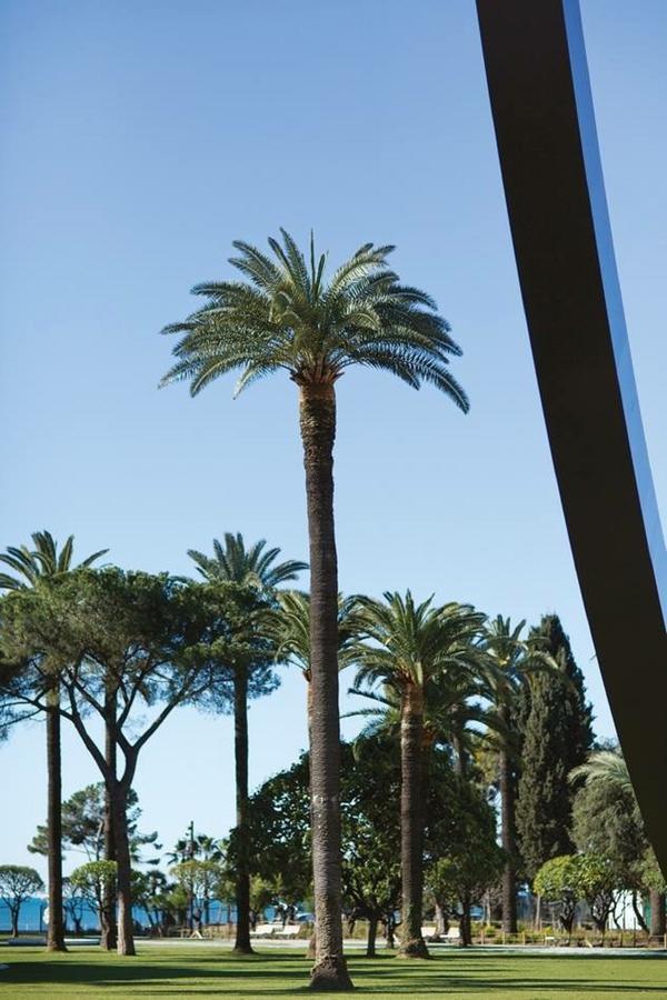 Le Mantega - F2 Moderne,centre Ville, 2 Grandes Terrasses,climatisation, Ascenseur Appartamento *